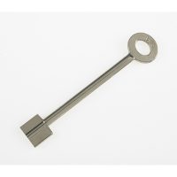LIPS D/BITTED DATA KEY BLANK
