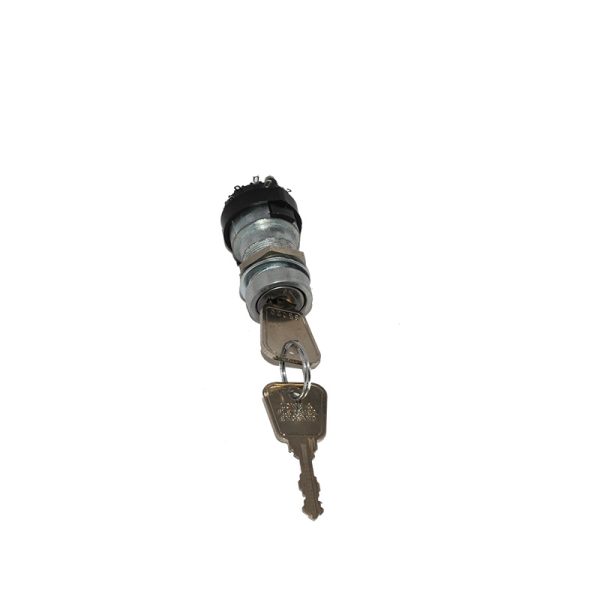 DIGKEY - MP1 KEYSWITCH WITH 2 KEYS
